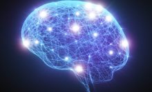 Neural Network Human Brain